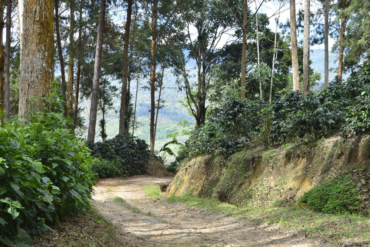 Finca Santa Rosa Hotel Mariscal Castilla Zewnętrze zdjęcie