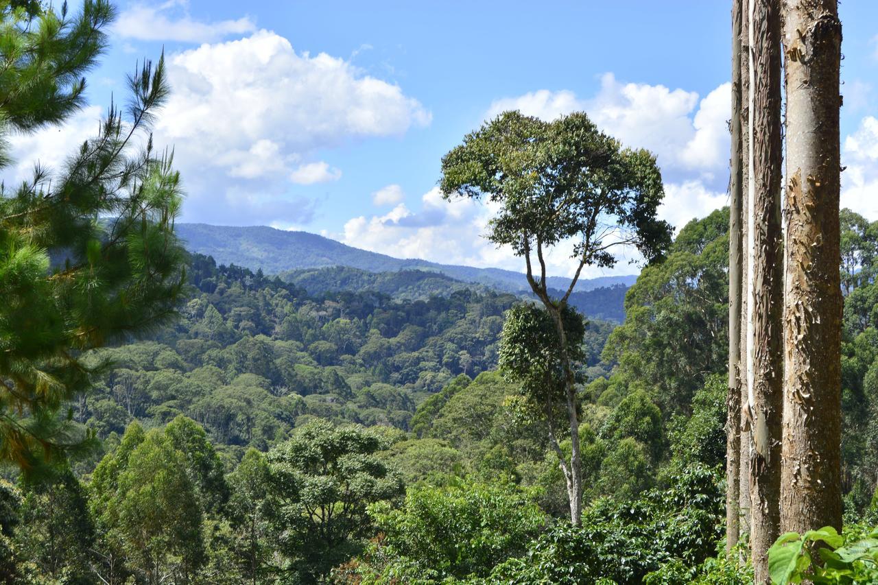 Finca Santa Rosa Hotel Mariscal Castilla Zewnętrze zdjęcie